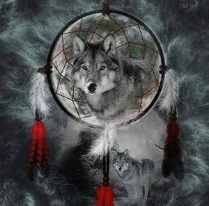 Meet your Posher, Bill